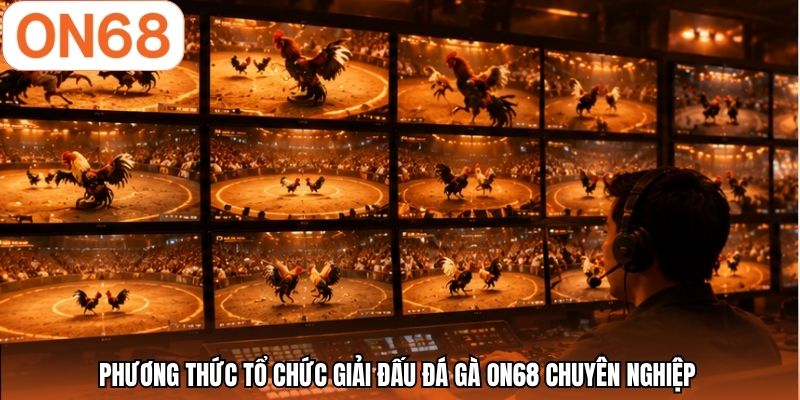 Phương thức tổ chức giải đấu đá gà ON68 chuyên nghiệp