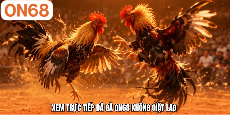 Xem trực tiếp đá gà ON68 không giật lag